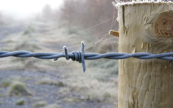 HD desktop wallpaper featuring a close-up of barbed wire attached to a wooden post with a frosty background.