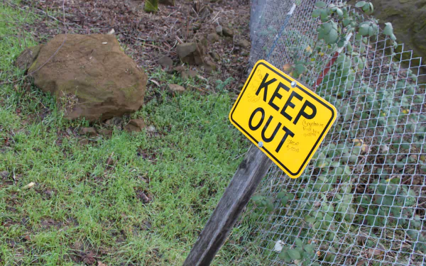 HD wallpaper of a KEEP OUT sign on a fence in a grassy area, serving as both a warning and a desktop background.