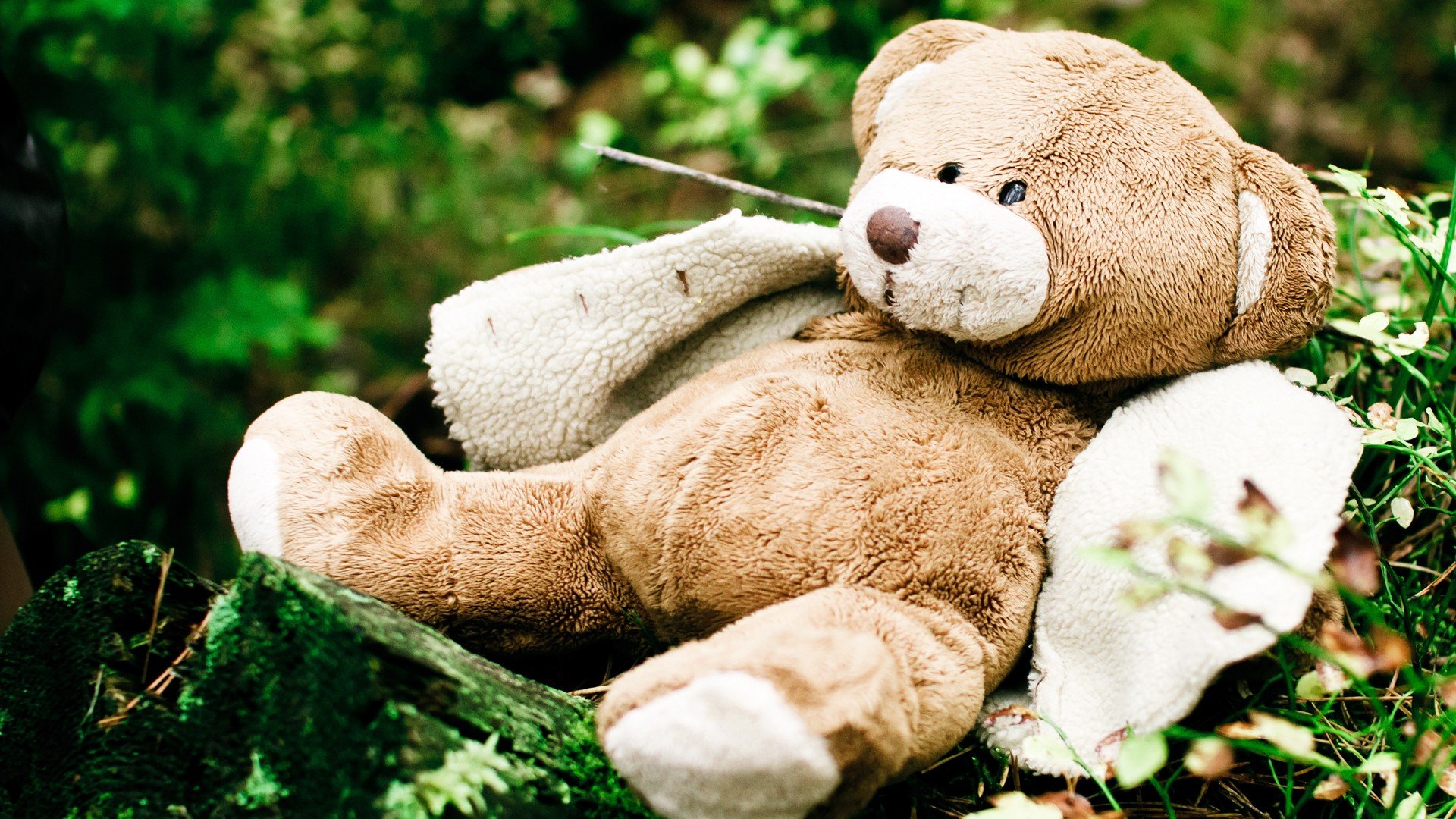 Download Man Made Stuffed Animal HD Wallpaper