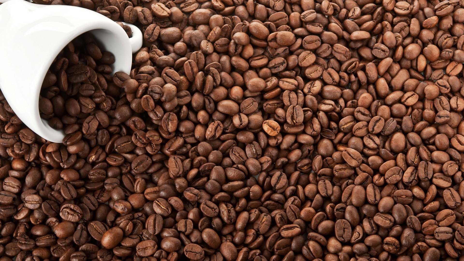 Download Coffee Beans Food Coffee HD Wallpaper