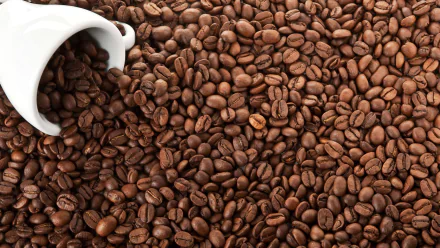 HD desktop wallpaper showing a close-up of roasted coffee beans spilling from a white cup, highlighting rich textures and shades of brown.