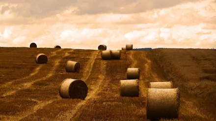nature haystack HD Desktop Wallpaper | Background Image