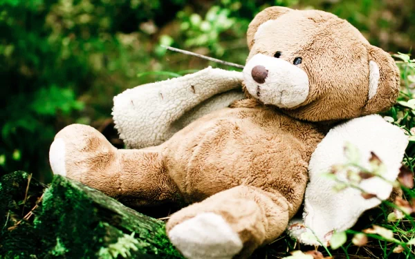 man made stuffed animal HD Desktop Wallpaper | Background Image