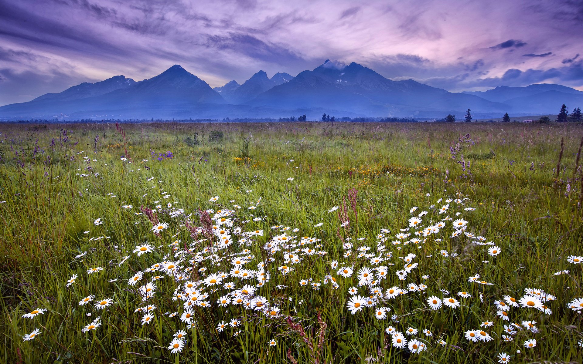 Download Nature Landscape HD Wallpaper | 1920x1200 | Wallpaper Abyss