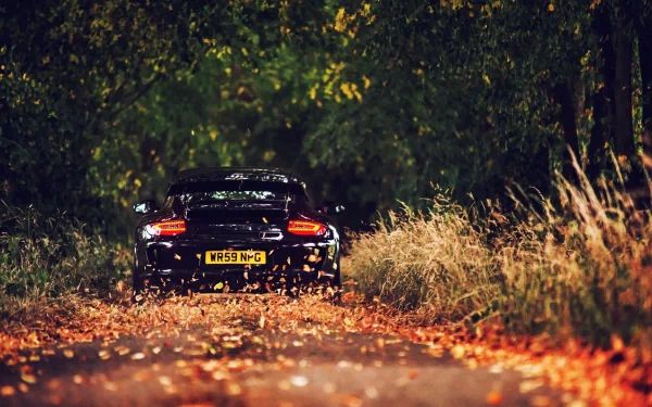 A Porsche 911 driving on a tree-lined road with fallen leaves, captured as an HD desktop wallpaper.