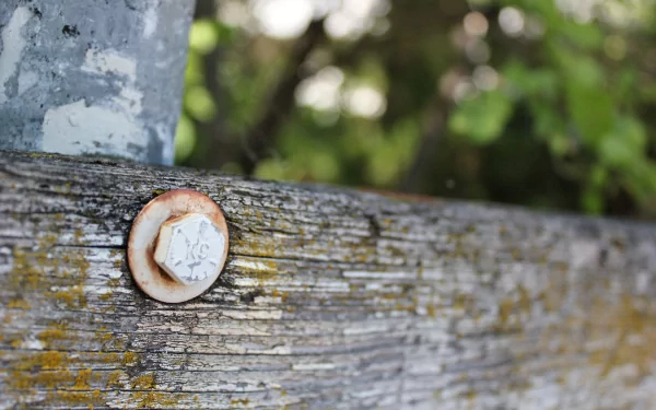 HD wallpaper featuring a close-up of a rusty bolt on an aged wooden fence with peeling paint and mossy texture.