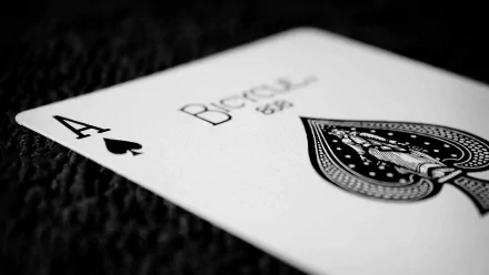 A close-up of an Ace of Spades playing card, featuring intricate designs, captured in high definition. This image serves as an engaging PC desktop wallpaper and background.