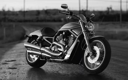Black-and-white HD PC desktop wallpaper of a vehicle — Harley-Davidson V-Rod motorcycle parked on a wet road, three-quarter view highlighting chrome exhaust and muscular frame.