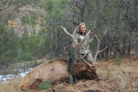 hunting Sports HD Desktop Wallpaper | Background Image
