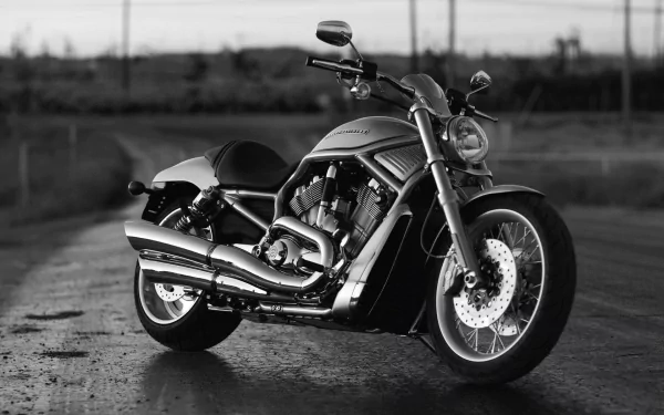 Black-and-white HD PC desktop wallpaper of a vehicle — Harley-Davidson V-Rod motorcycle parked on a wet road, three-quarter view highlighting chrome exhaust and muscular frame.