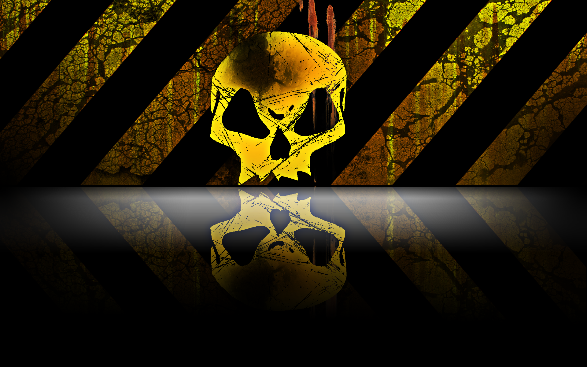 skull Full HD Wallpaper and Background Image | 1920x1200 ...