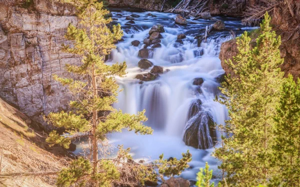 HD desktop wallpaper: Firehole Falls, Yellowstone, Wyoming — waterfall cascading over stone cliffs, framed by pine trees in a lush nature scene.