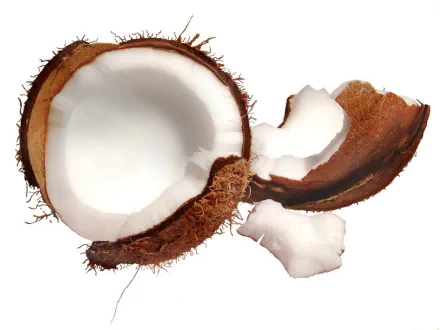 A close-up of a coconut, showcasing its textured brown shell and white interior, serves as an engaging HD PC desktop wallpaper and background centered on food.