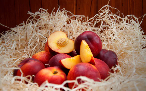 food nectarine HD Desktop Wallpaper | Background Image