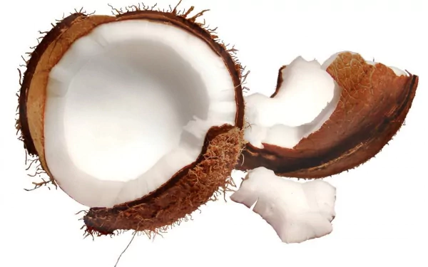 A close-up of a coconut, showcasing its textured brown shell and white interior, serves as an engaging HD PC desktop wallpaper and background centered on food.