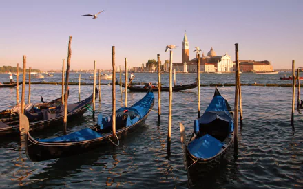 man made Venice HD Desktop Wallpaper | Background Image