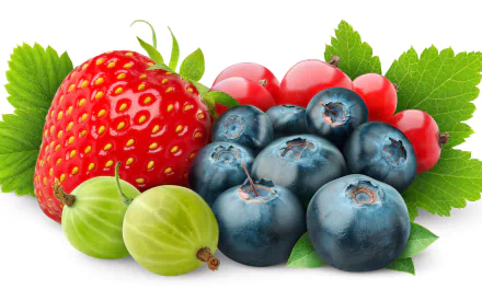 food berry HD Desktop Wallpaper | Background Image