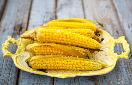 food corn HD Desktop Wallpaper | Background Image