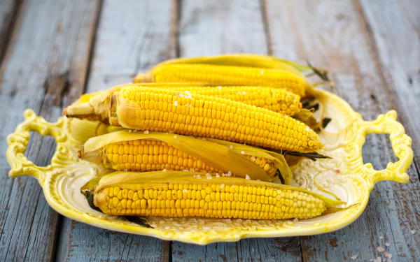 food corn HD Desktop Wallpaper | Background Image