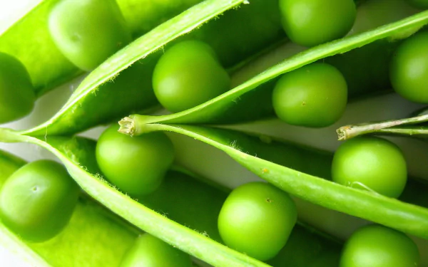 Close-up HD desktop wallpaper of fresh green peas nestled inside open pods, highlighting vibrant food textures and natural detail.