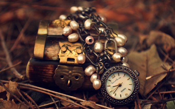 Photography Still Life Steampunk HD Wallpaper | Background Image