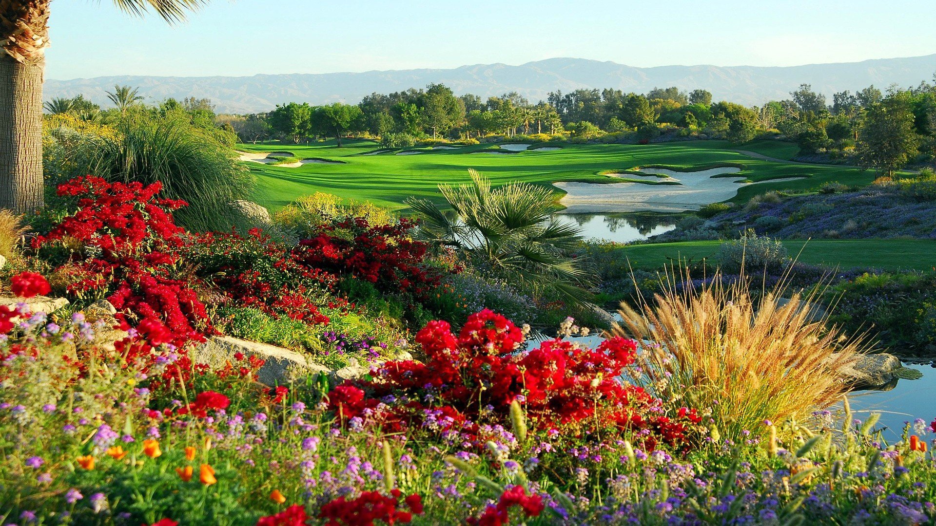 Man Made Golf Course HD Wallpaper