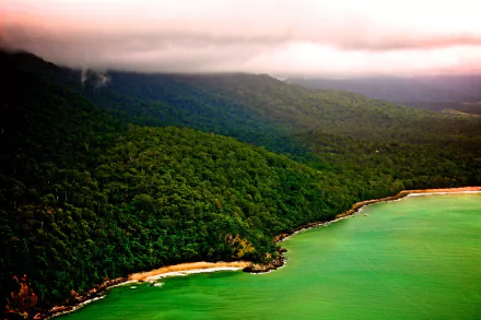 Aerial view of the Daintree Rainforest meeting turquoise sea under a low cloud layer — lush forest coastline, nature scene, HD PC desktop wallpaper background.