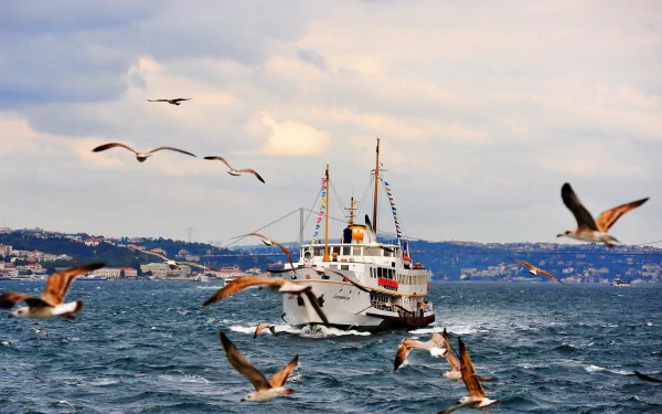 vehicle ferry HD Desktop Wallpaper | Background Image