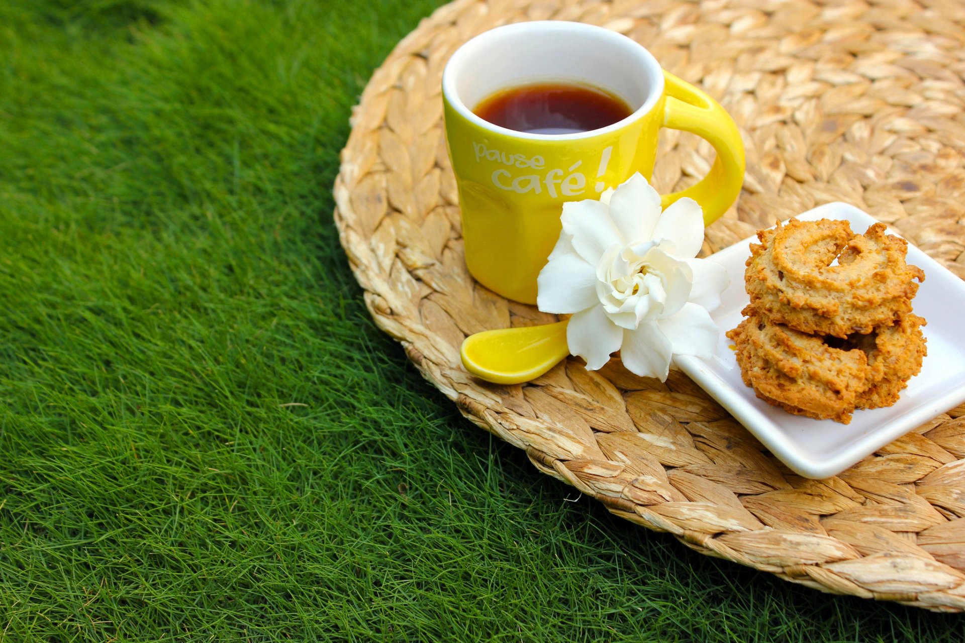 HD desktop wallpaper featuring a yellow coffee cup, cookies on a white plate, and a white flower on a woven mat beside green grass.