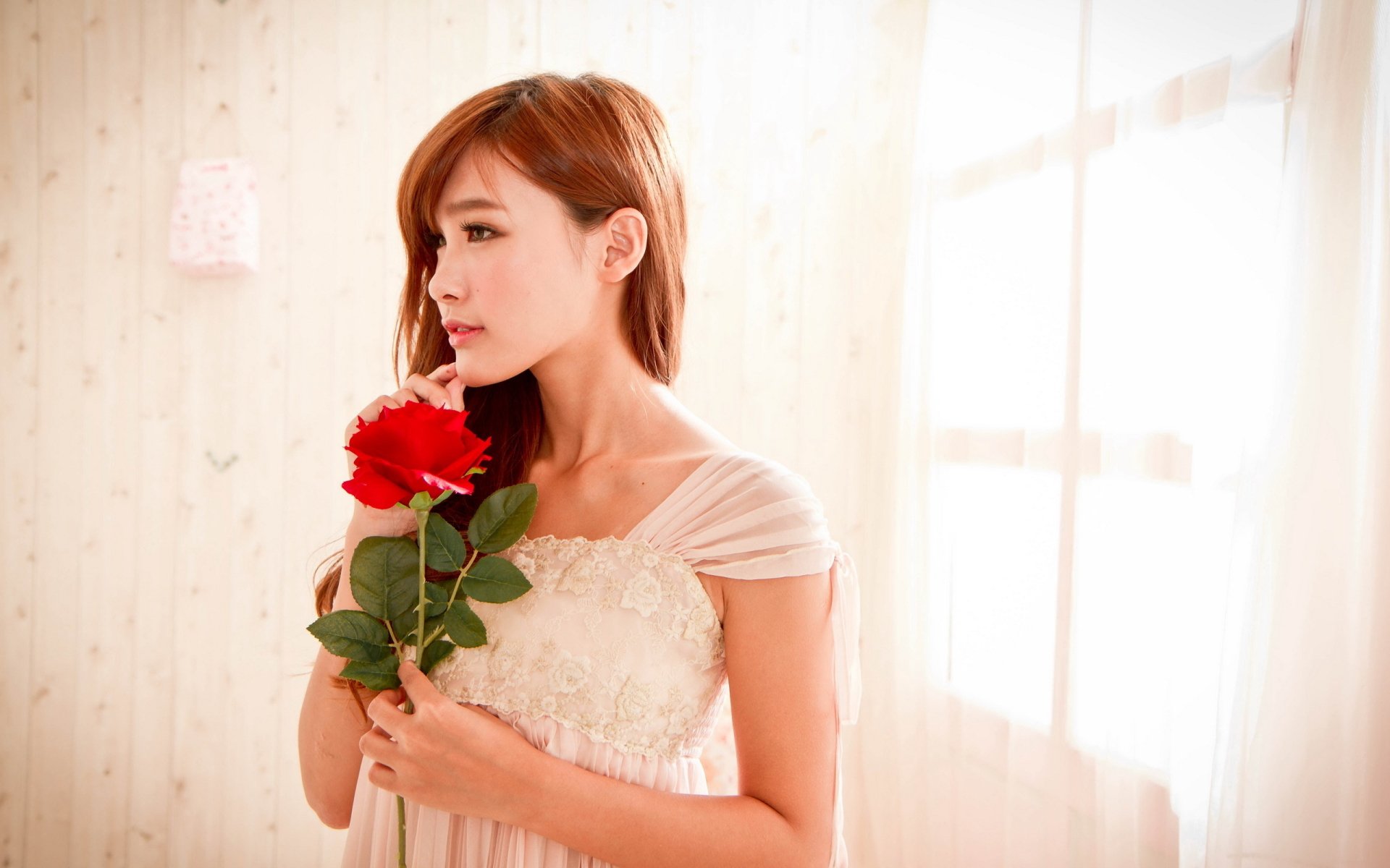 A serene Asian woman gazes thoughtfully while holding a red rose, set against a softly lit background, creating an elegant HD desktop wallpaper.