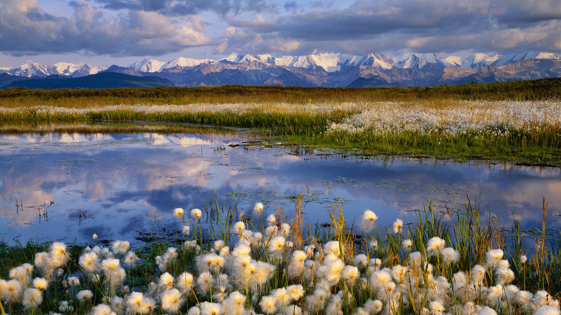 HD PC desktop wallpaper featuring a serene lake surrounded by blooming wildflowers with snow-capped mountains under a blue sky in the background.