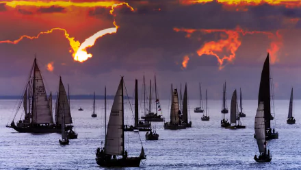 vehicle sailboat HD Desktop Wallpaper | Background Image