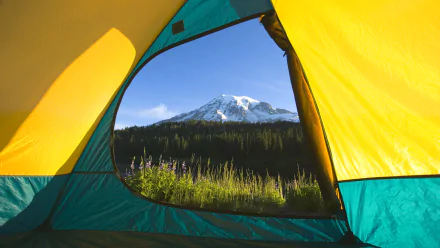  Tent View, Mount Rainier National Park, Washington