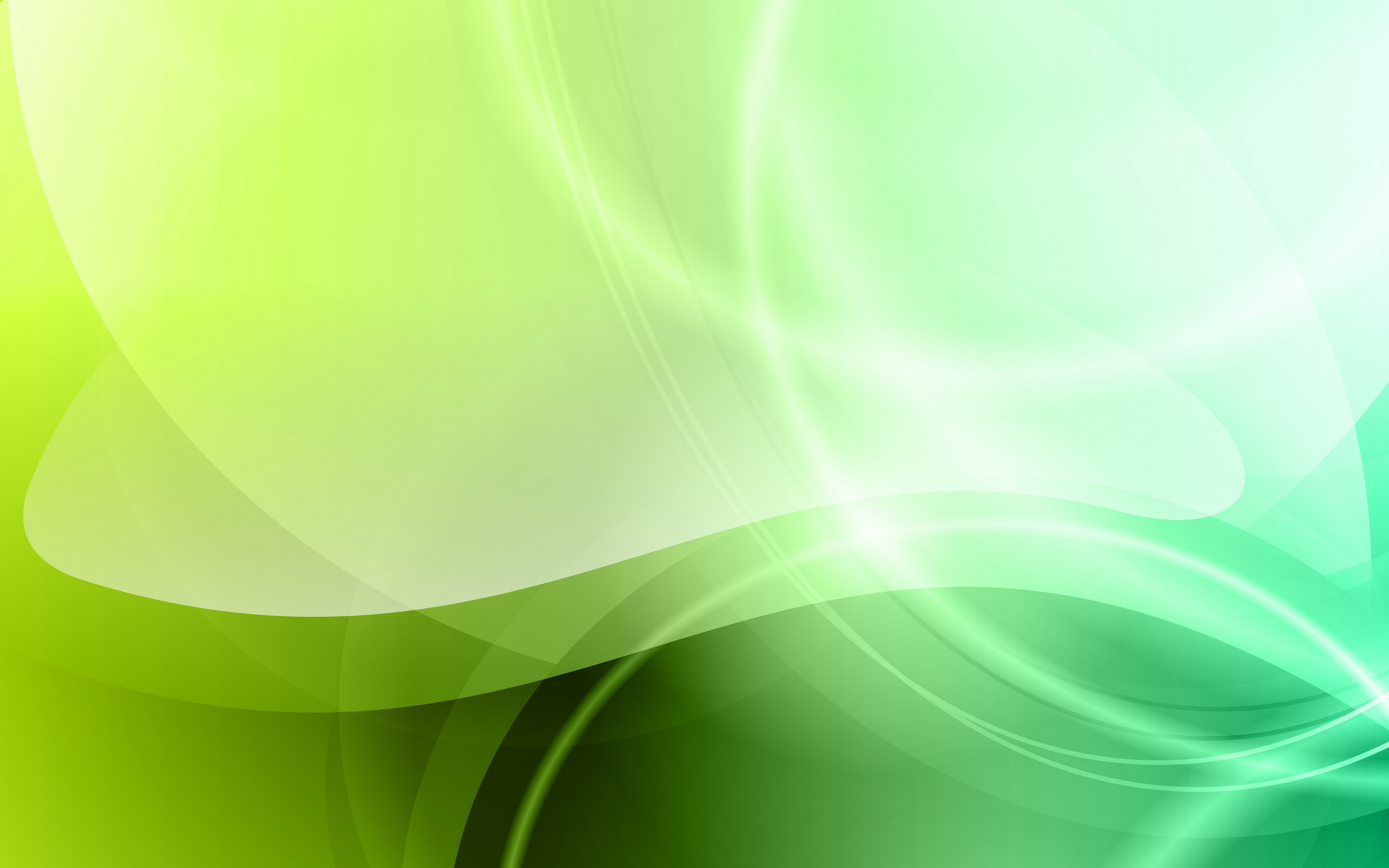 Green HD Wallpaper Background  Image 2560x1600 ID 