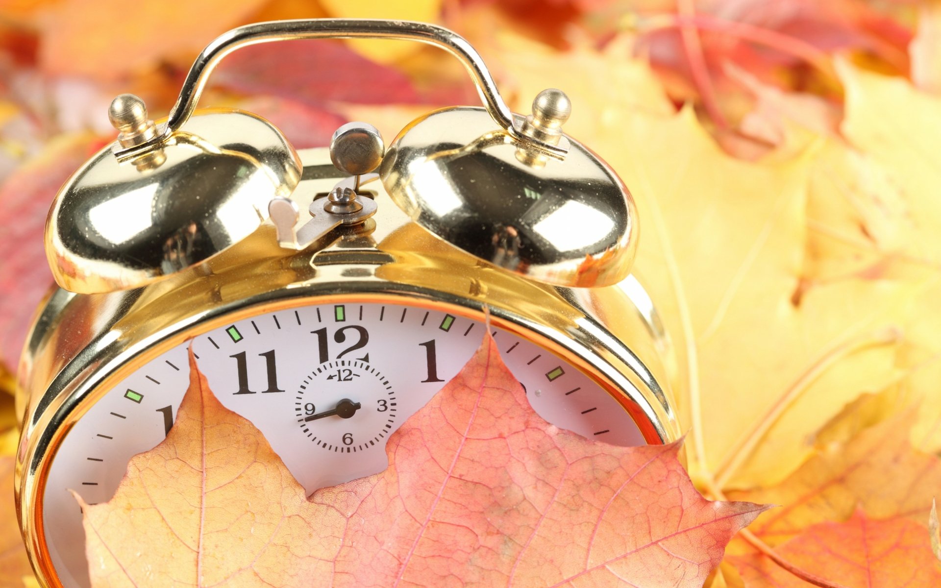 Man-made golden twin-bell alarm clock peeking from autumn leaves on a warm orange backdrop — 2K Quad HD PC desktop wallpaper and background.