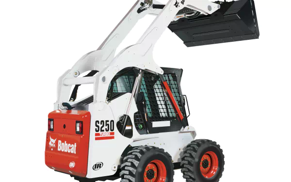  bobcat