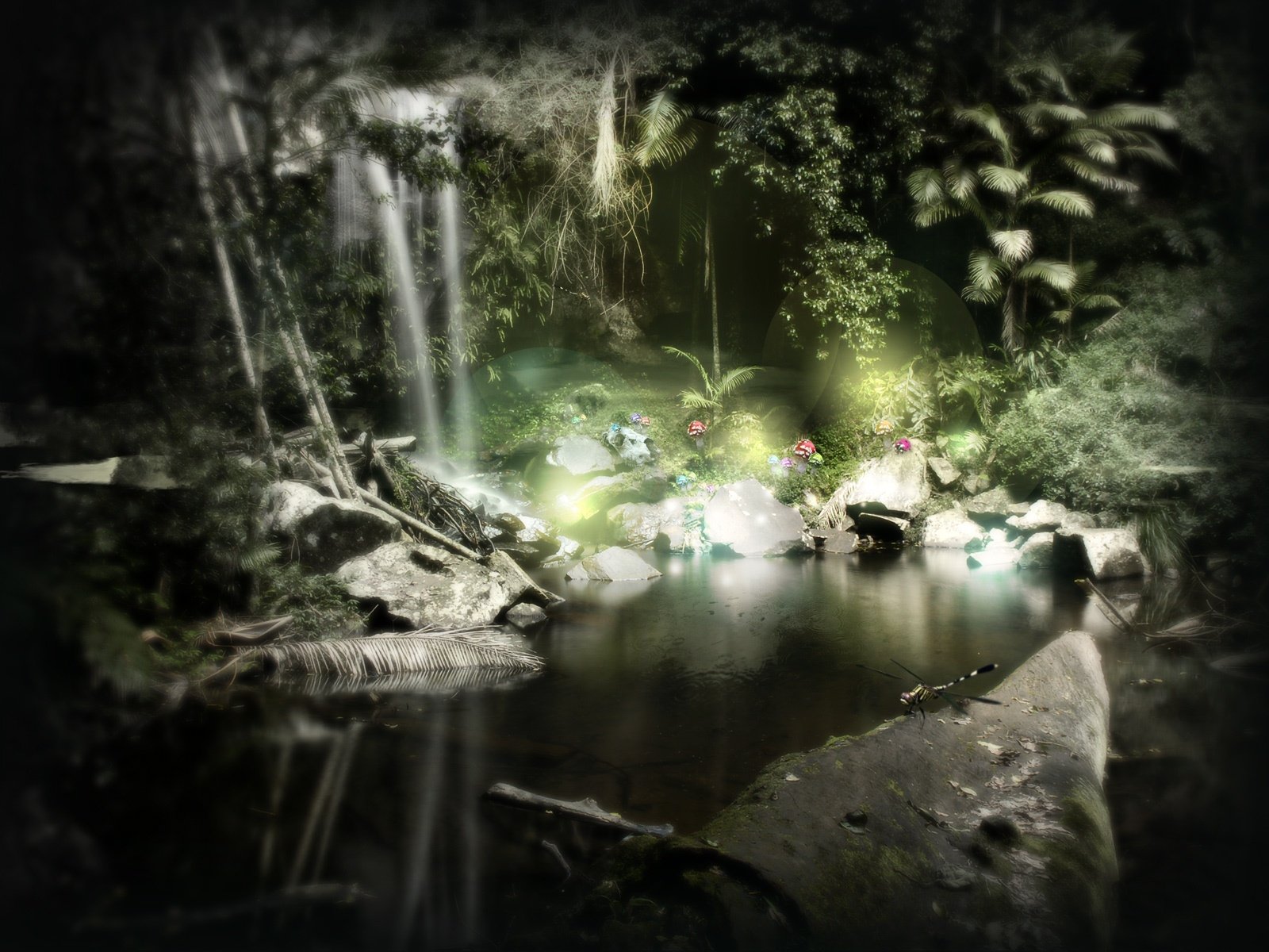 Enchanted Stream: A Serene HD Nature Escape | 1600x1200 | Wallpaper Abyss