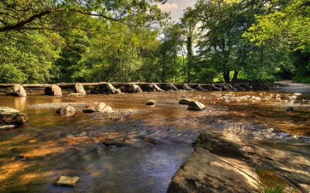 2K Quad HD PC desktop wallpaper and background: sunlit river flowing over a stone weir through lush green forest — nature, river.