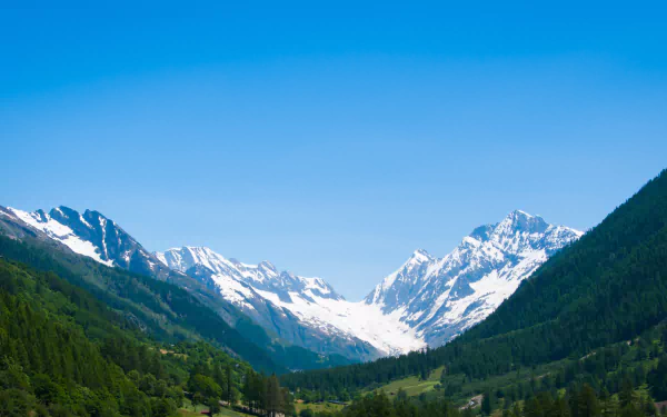 Snow-capped mountains tower over a lush green valley in a Swiss landscape, capturing the natural beauty near Montreux with clear blue skies above.