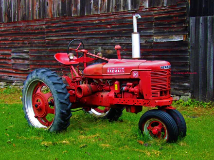 HD desktop wallpaper featuring a bright red Farmall tractor parked on grass in front of a rustic wooden barn, showcasing classic vehicle design in vivid detail.