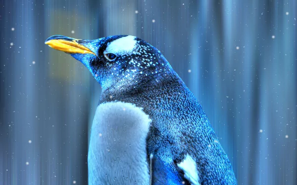 HD PC desktop wallpaper featuring a detailed close-up of an emperor penguin against a softly blurred blue background with falling snowflakes.