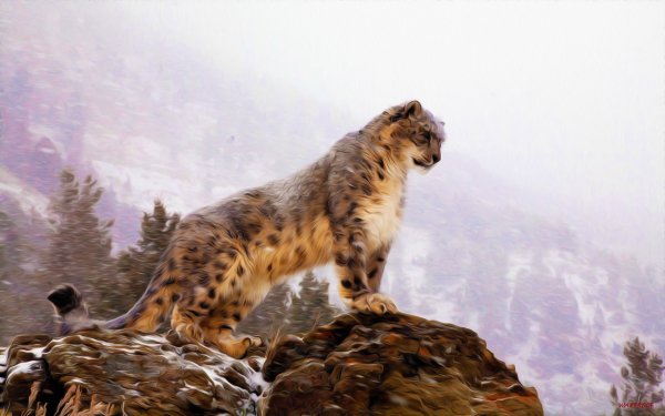 Animal Snow Leopard Cats Oil Painting HD Wallpaper | Background Image