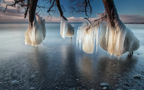  The Ice Effect