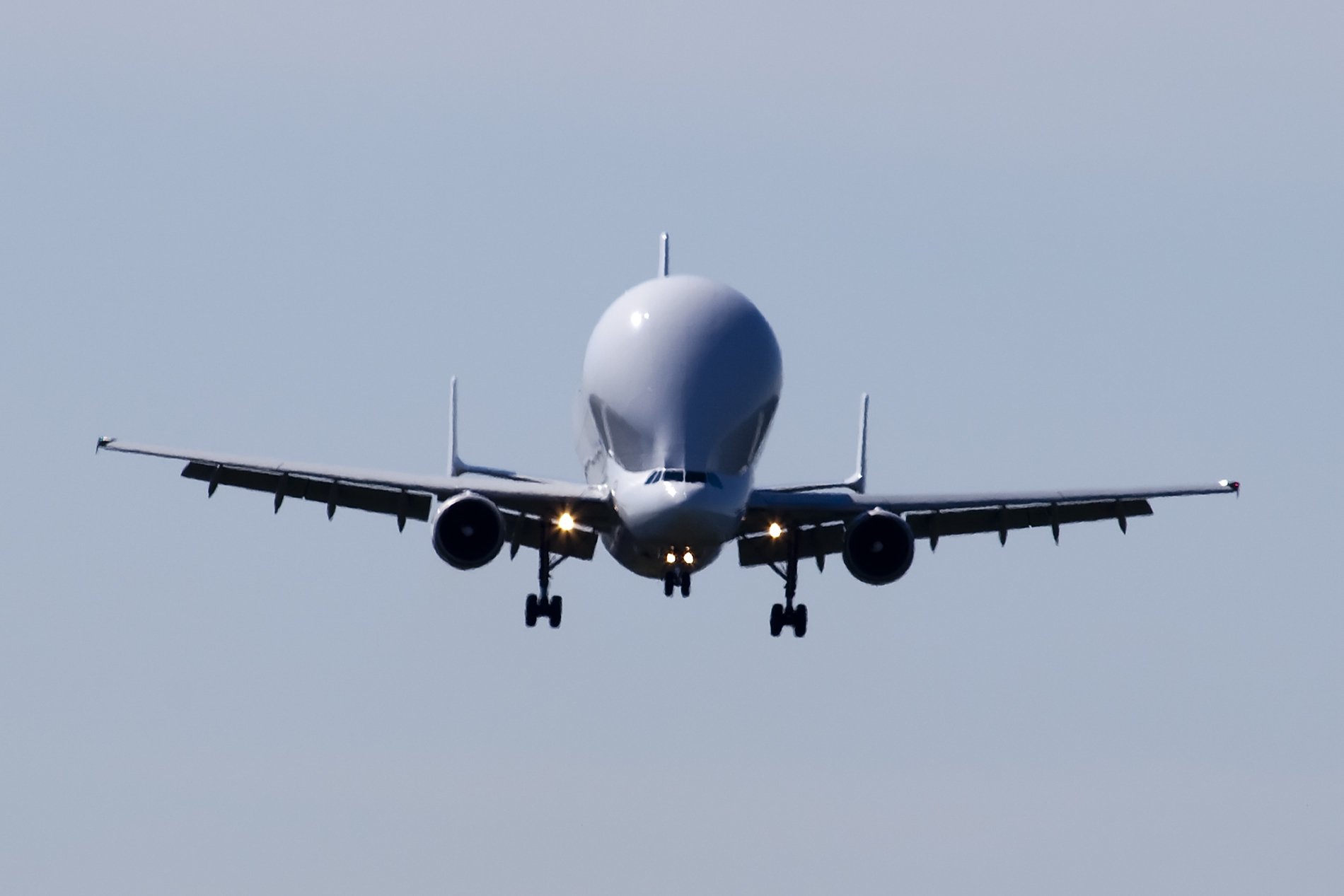 Airbus Beluga Wallpaper and Background Image 1900x1267 ID442443