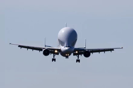 vehicle Airbus Beluga HD Desktop Wallpaper | Background Image