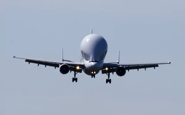 vehicle Airbus Beluga HD Desktop Wallpaper | Background Image