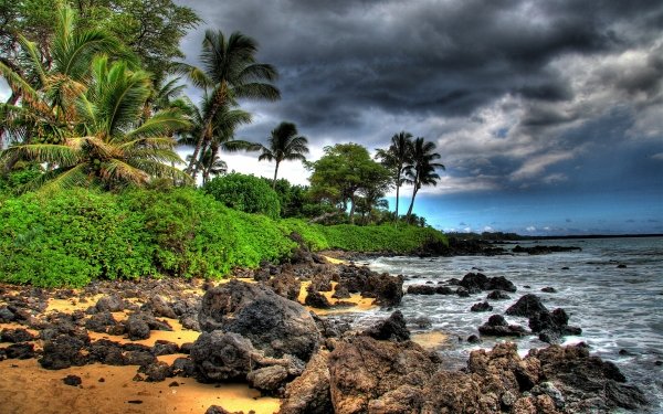 Earth Island Tropical Seashore Palm Tree Tropics Cloud HD Wallpaper | Background Image
