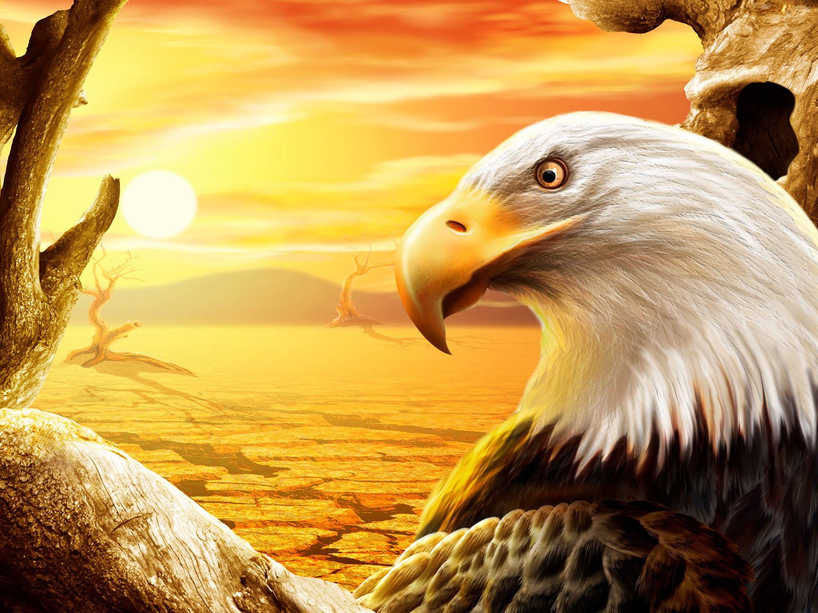 Eagles Head In Red With Watercolor Details Background Eagle Head Eagle  Angry Background Image And Wallpaper for Free Download