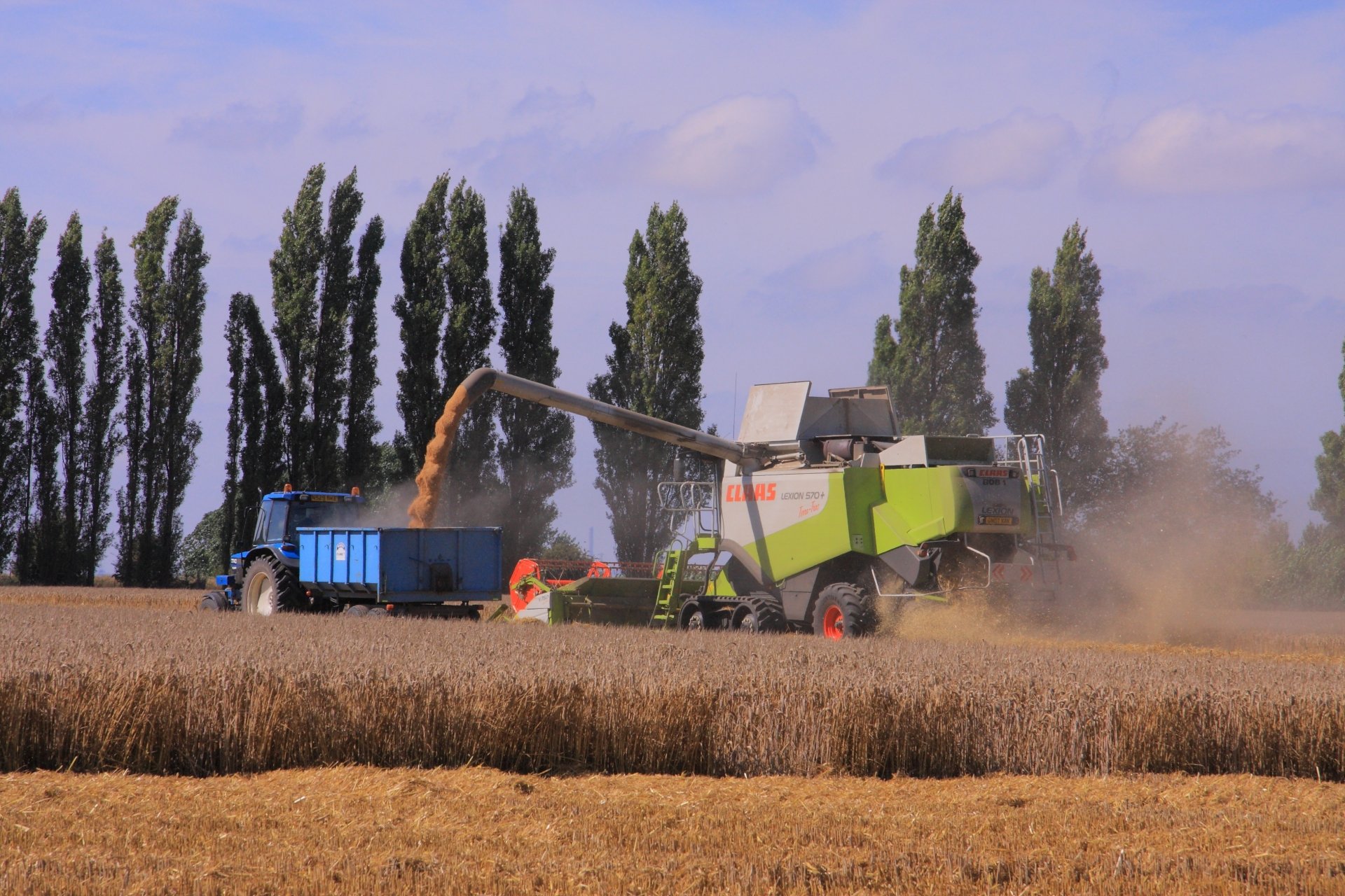 4K Ultra HD wallpaper featuring a Claas combine harvester unloading grain into a tractor trailer amid a golden wheat field with tall trees in the background.