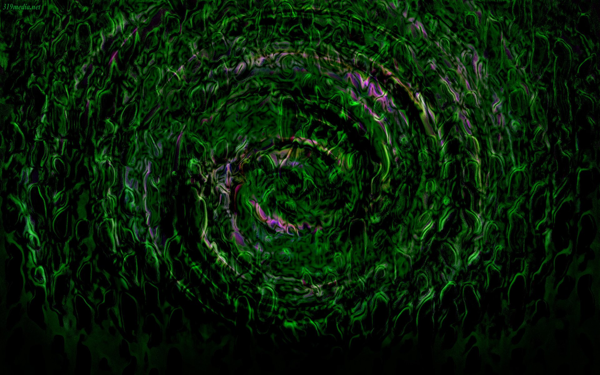 Ivy Cave by 319media